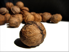 ������� ����� � �������� 