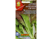 ������� ������� ������.jpg