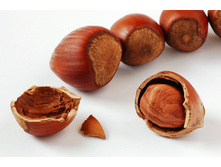 ������(�������, � ��������)