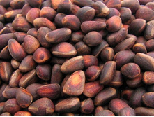 �������� ������