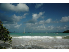 ���� ����� ��������