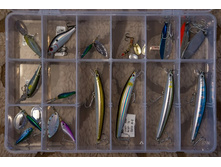 ������� 2.jpg