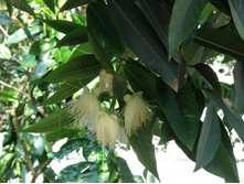 ������� sp. ����� �������� �� 3-4