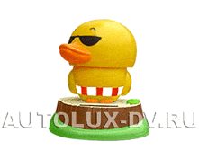12.03.2010 11:39:53
