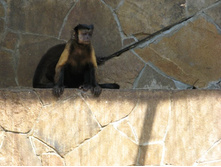 ������ ����� :)))  ��������� �������