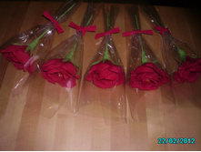 PICT6139.JPG