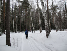 ��� ���� �����)