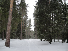 ������ ��� ���)