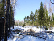 DSCF1658.JPG
