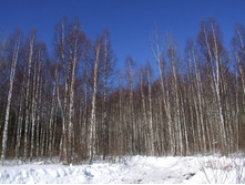 DSCF1665.JPG
