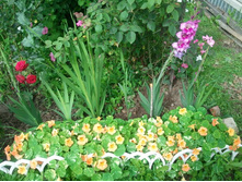 2012-07-24 09.43.12.jpg