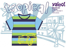 ���� 185 ���