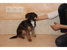 ����� 1.jpg