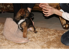 ����� 2.jpg