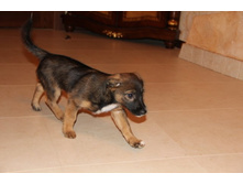 ����� 7.jpg