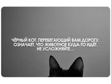 ������ ���.jpg