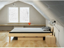 bruno-fiona e_10.jpg