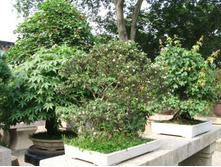 ������ ����� ����� ����!