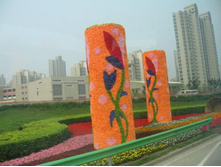 ������ ���� �����!