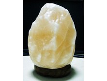 ���.���� 2��.���� 559�