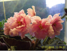 ��-�������� ���