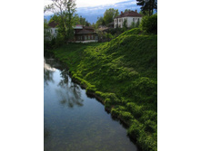 ���� ��������