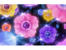380_colorful_flowers.jpg