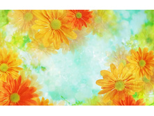 558_orange_flowers_wallpaper.jpg