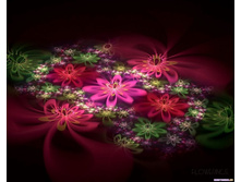 1000--hi_res_picturez-3d_flowerz_hq-1217393923.jpg
