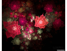 1294851718_flowerings_1018.jpg