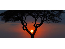 gorgeous-sunset-facebook-timeline-cover-photo-006.jpg