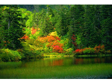 Nature-357.jpg