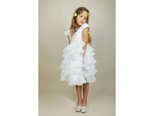 ���.8002  1564.00.jpg