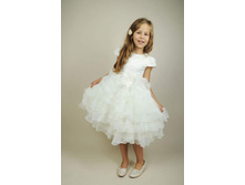 ���.8008 1564.00.jpg