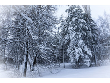 2 ������ 2012.jpg