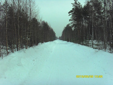 15.JPG