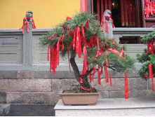 �������� �� �������