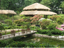 ��� ��������� ���������. ������