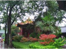 ���� ����!