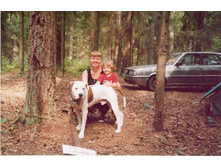 ������� ����