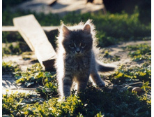 �����-��