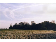 ���������� ������