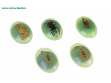 32 ��� �� 1 ��