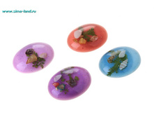 31 ��� �� 1 ��