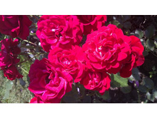 28072012123.JPG