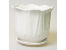 ������ ���������.jpg