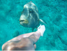 1789������ 004 (238).jpg