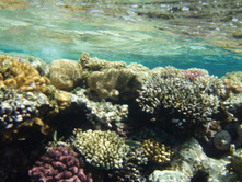 1789������ 004 (15).jpg