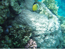 1789������ 004 (19).jpg