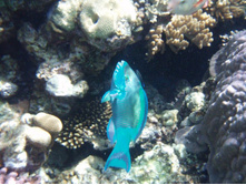 1789������ 004 (20).jpg